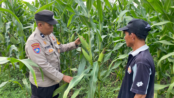 Bhabinkamtibmas Desa Bakung Temenggungan Masifkan Program Ketahanan Pangan Polresta Sidoarjo