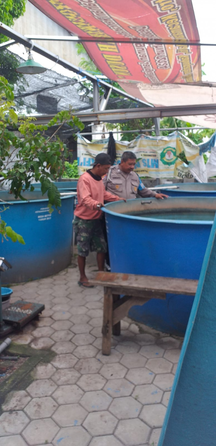 Polsek Sedati Motivasi Warga Manfaatkan Lahan Pekarangan untuk Budidaya Lele