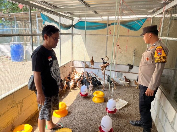 Polsek Krembung Tinjau Peternakan Ayam Kampung Dukung Ketahanan Pangan