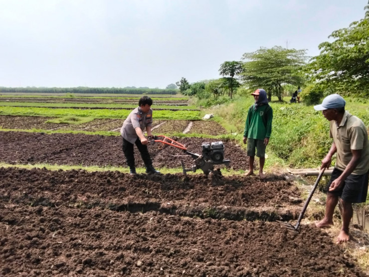 Kanit Binmas Polsek Prambon Polresta Sidoarjo Tinjau Lahan P2B Wujud Program Ketahanan Pangan Nasional