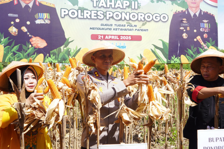Polisi dan Warga Tani Panen Raya Jagung Hibrida Bhayangkara Tahap II di Ponorogo