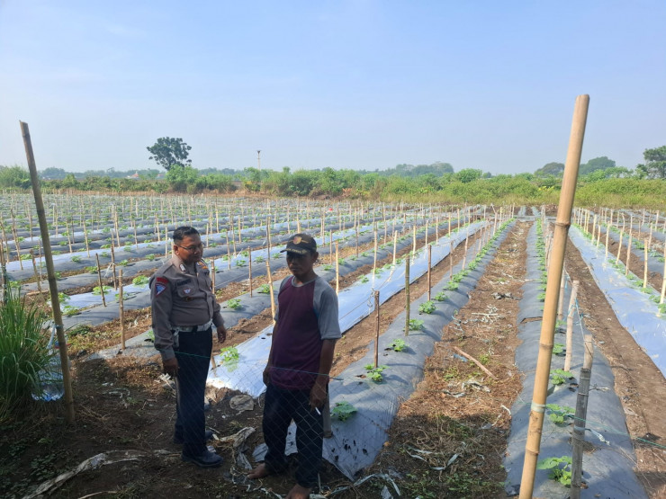 Polsek Tarik Masifkan Patroli Sambang Desa Dukung Program Ketahanan Pangan Polresta Sidoarjo