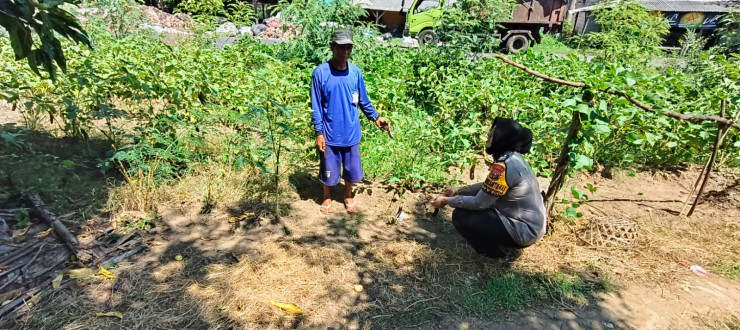 Bhabinkamtibmas Kedungpandan Tinjau Lahan Sayuran Untuk Tunjang Ketahanan Pangan