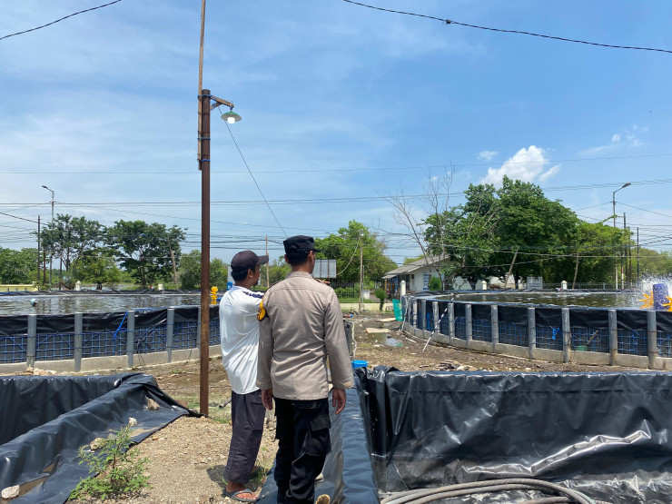 Polsek Sedati Polresta Sidoarjo Lakukan Pengecekan Budidaya Udang Intensif di Desa Banjar Kemuning