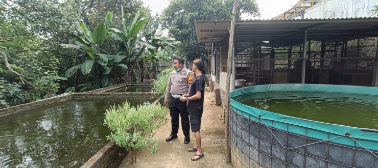 Kapolsek Tarik Apresiasi Budidaya Lele Warga Kramat Temenggung, Dukung Ketahanan Pangan