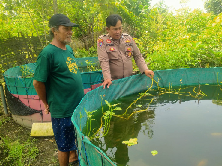 Wujud Ketahanan Pangan, Kanit Binmas Polsek Prambon Tinjau Budidaya Ikan Nila