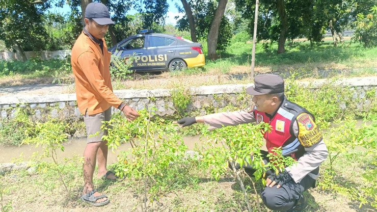 Polsek Balongbendo Bersama Warga Desa Singkalan Koordinasi Kelola Lahan Hortikultura untuk Ketahanan Pangan